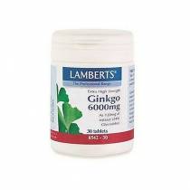 Lamberts - Ginkgo biloba extract 6000mg 30tabs