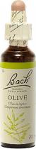 Bach Olive    20ml